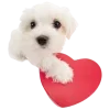❤️ Эмодзи «😎 собакены» для Telegram