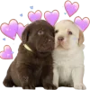 ❤️ Эмодзи «😎 собакены» для Telegram