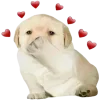 ❤️ Эмодзи «😎 собакены» для Telegram