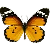 🦋 Эмодзи «🦋 Набор эмоджи с бабочками» для Telegram