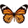🦋 Эмодзи «🦋 Набор эмоджи с бабочками» для Telegram