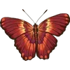 🦋 Эмодзи «🦋 Набор эмоджи с бабочками» для Telegram