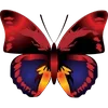 🦋 Эмодзи «🦋 Набор эмоджи с бабочками» для Telegram