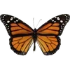🦋 Эмодзи «🦋 Набор эмоджи с бабочками» для Telegram