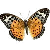 🦋 Эмодзи «🦋 Набор эмоджи с бабочками» для Telegram