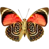 🦋 Эмодзи «🦋 Набор эмоджи с бабочками» для Telegram