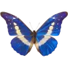 🦋 Эмодзи «🦋 Набор эмоджи с бабочками» для Telegram