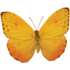🦋 Эмодзи «🦋 Набор эмоджи с бабочками» для Telegram