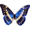 🦋 Эмодзи «🦋 Набор эмоджи с бабочками» для Telegram