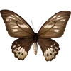 🦋 Эмодзи «🦋 Набор эмоджи с бабочками» для Telegram