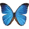 🦋 Эмодзи «🦋 Набор эмоджи с бабочками» для Telegram