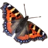 🦋 Эмодзи «🦋 Набор эмоджи с бабочками» для Telegram