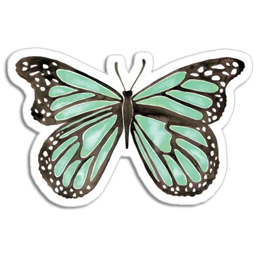 🦋 Стикер «Butterfly ਤਿਤਲੀ» для Telegram