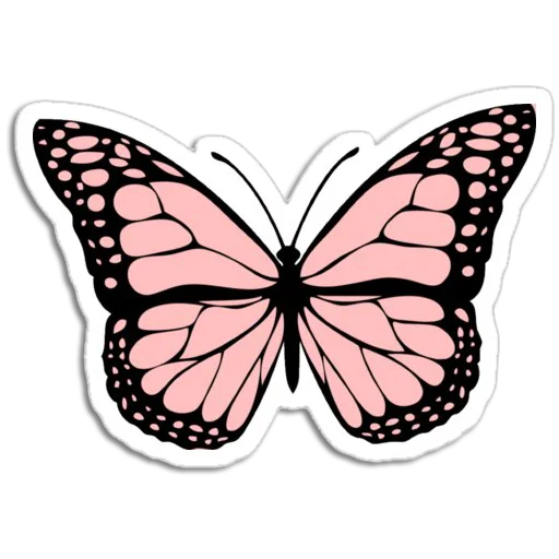 🦋 Стикер «Butterfly ਤਿਤਲੀ» для Telegram