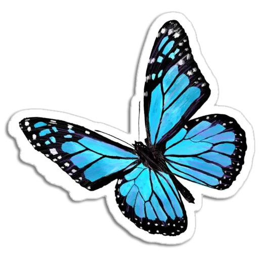 🦋 Стикер «Butterfly ਤਿਤਲੀ» для Telegram