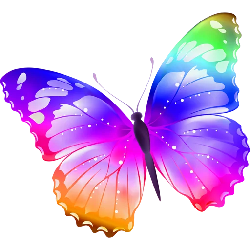🦋 Стикер «Butterfly ਤਿਤਲੀ» для Telegram