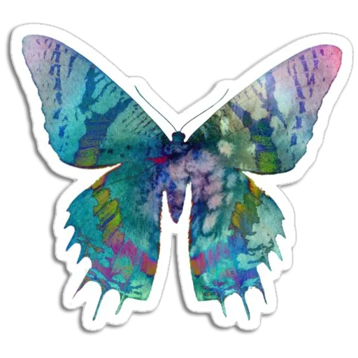 🦋 Стикер «Butterfly ਤਿਤਲੀ» для Telegram