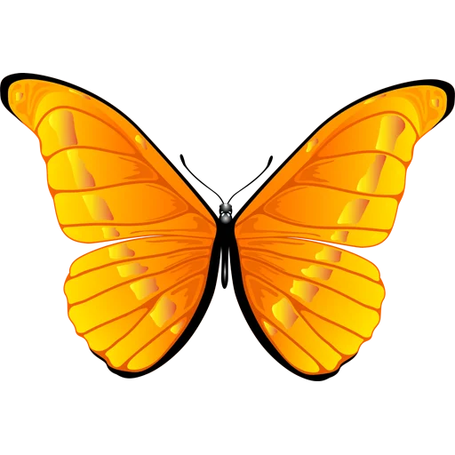 🦋 Стикер «Butterfly ਤਿਤਲੀ» для Telegram