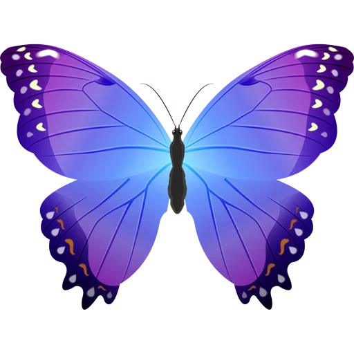 🦋 Стикер «Butterfly ਤਿਤਲੀ» для Telegram