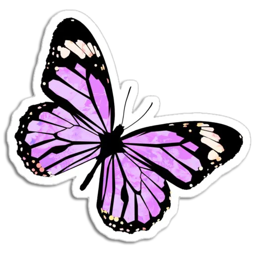 🦋 Стикер «Butterfly ਤਿਤਲੀ» для Telegram