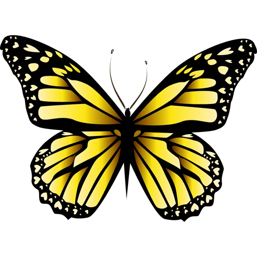 🦋 Стикер «Butterfly ਤਿਤਲੀ» для Telegram