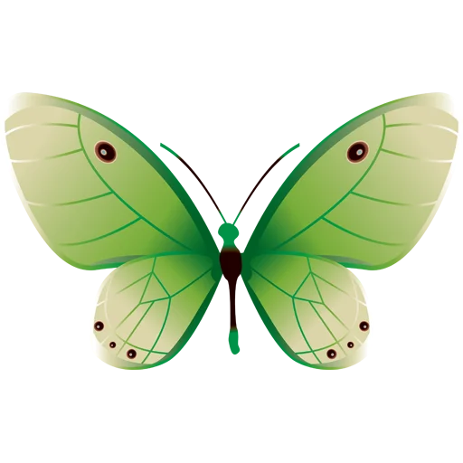 🦋 Стикер «Butterfly ਤਿਤਲੀ» для Telegram