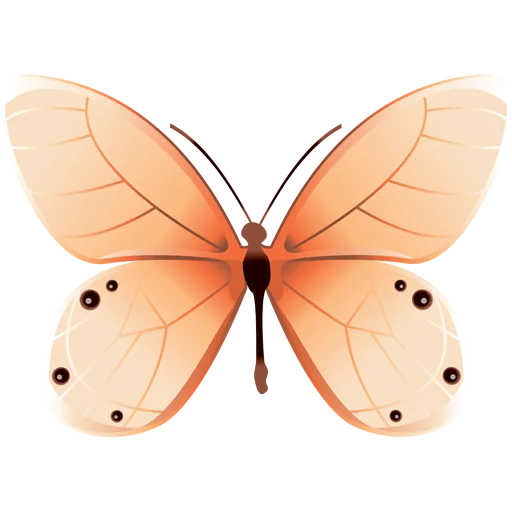 🦋 Стикер «Butterfly ਤਿਤਲੀ» для Telegram