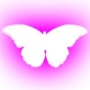 🦋 Эмодзи «Minimalism #color #pink #decor» для Telegram