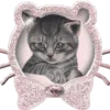 🐱 Эмодзи «ᥴ᧐Ⲙf᧐Rᴛ» для Telegram