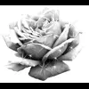 🤩 Эмодзи «bw» для Telegram