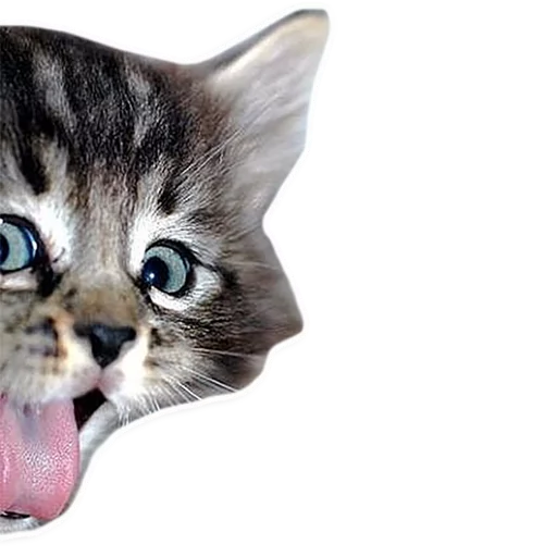 😜 Стикер «Islmmm» для Telegram