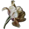 🤩 Эмодзи «𝓥𝓮𝓷𝓮𝓻𝓪𝓼 𝓐𝓬𝓪𝓭𝓮𝓶𝓲𝓪» для Telegram