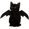 🤩 Эмодзи «𝓥𝓮𝓷𝓮𝓻𝓪𝓼 𝓐𝓬𝓪𝓭𝓮𝓶𝓲𝓪» для Telegram