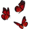 🦋 Эмодзи «😿 Няфф random emoji» для Telegram
