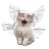 Эмодзи 😿 Няфф random emoji для Telegram — скачать