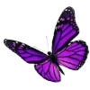 🦋 Эмодзи «😿 Няфф random emoji» для Telegram