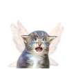 😭 Эмодзи «😿 Няфф random emoji» для Telegram