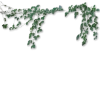 🌿 Эмодзи «😿 Няфф random emoji» для Telegram