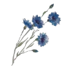 🌷 Эмодзи «😿 Няфф random emoji» для Telegram