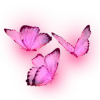 🦋 Эмодзи «😿 Няфф random emoji» для Telegram