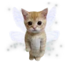🐈‍⬛ Эмодзи «😿 Няфф random emoji» для Telegram