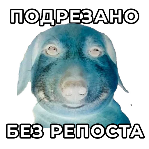 😈 Стикер «было? похуй» для Telegram