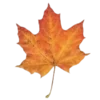 🎃 Эмодзи «Softcore» для Telegram