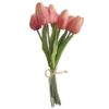🌷 Эмодзи «Softcore» для Telegram