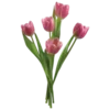🌷 Эмодзи «Softcore» для Telegram