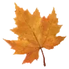 🍁 Эмодзи «School Autumn Pack» для Telegram