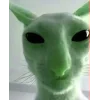 🤩 Эмодзи «Бзебзебзебзебзебзебзебзебзе» для Telegram