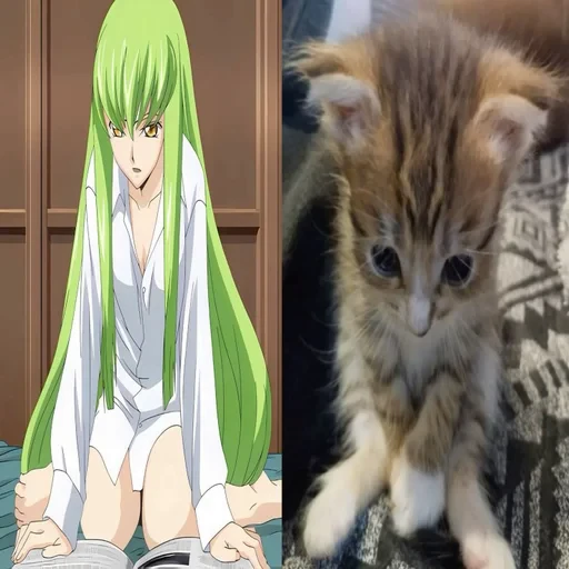 Стикерпак C.C Code geass для Telegram — скачать