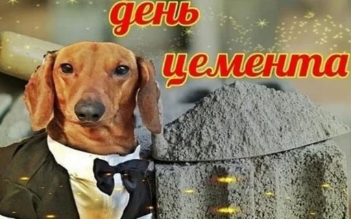 Стикерпак С днем ... для Telegram — скачать