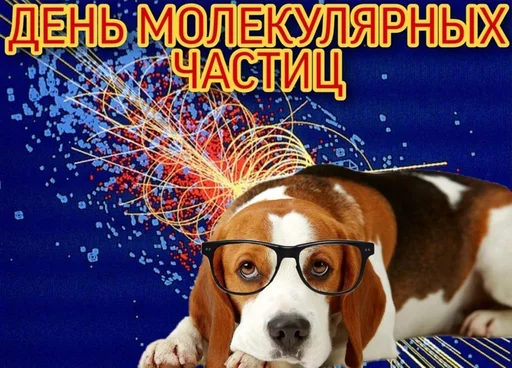 🤓 Стикер «С днем ...» для Telegram
